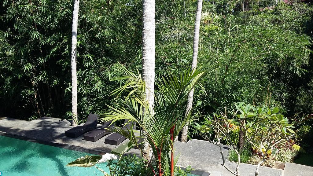 The Bali Shanti Ubud Esterno foto