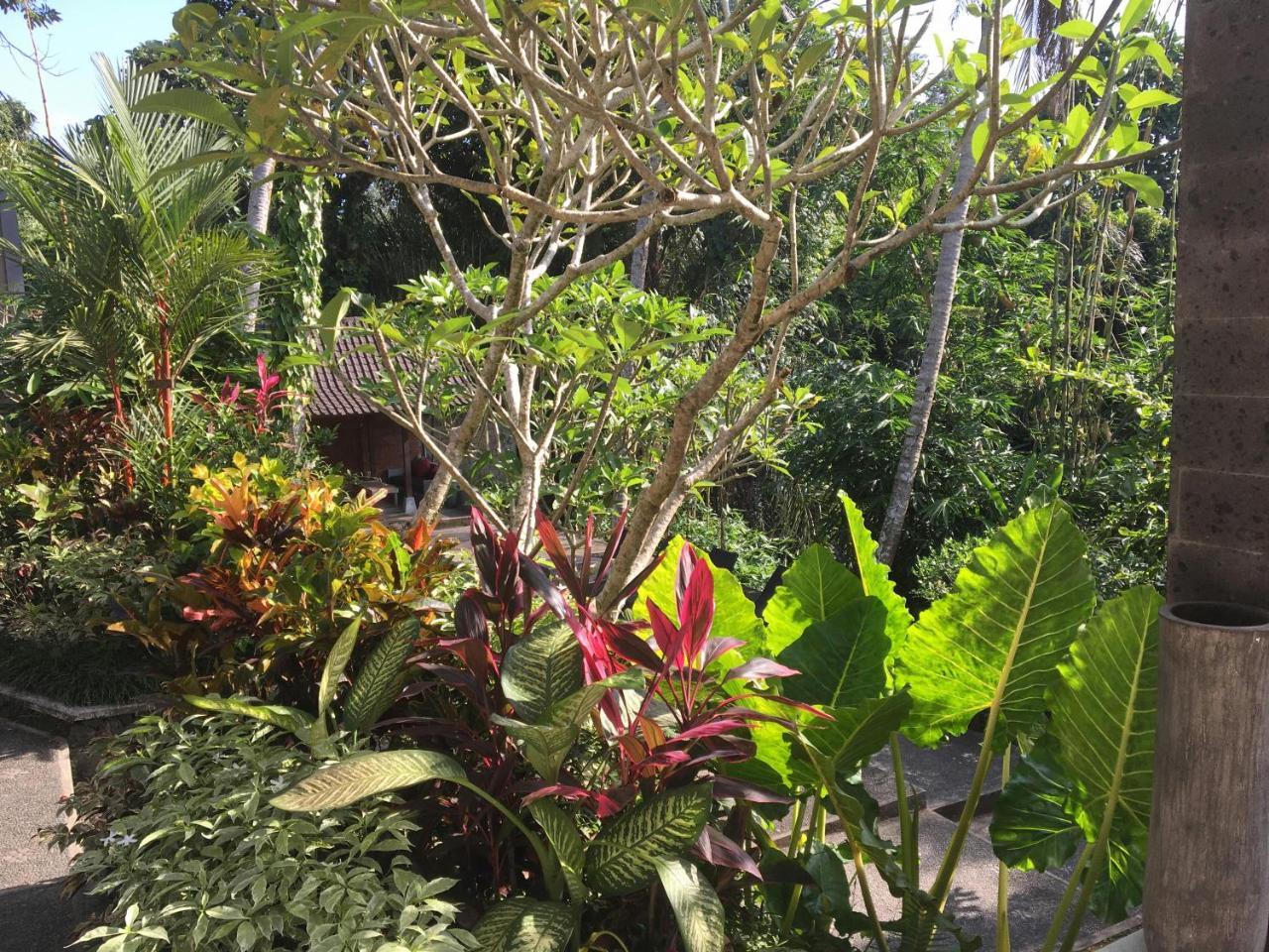 The Bali Shanti Ubud Esterno foto